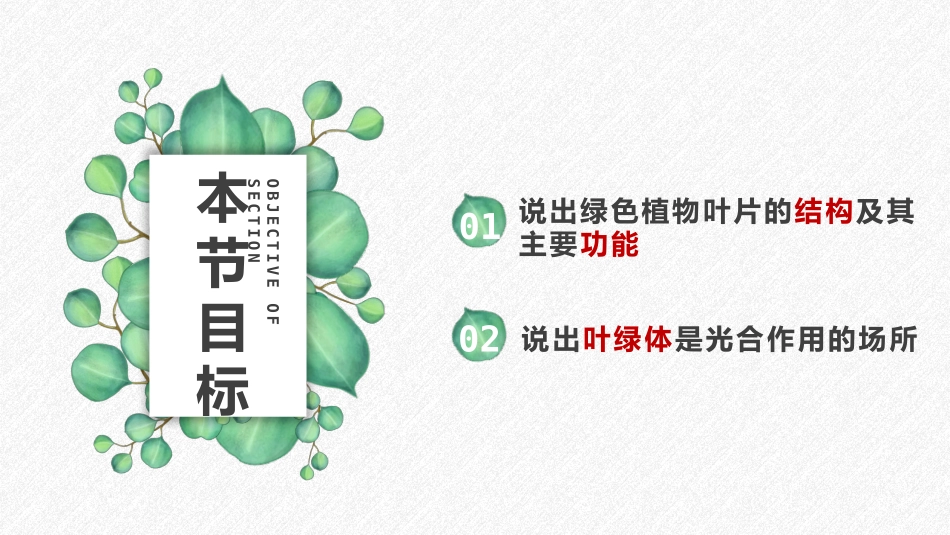 《植物光合作用的场所》PPT课件[苏教版七年级生物上册]_第2页