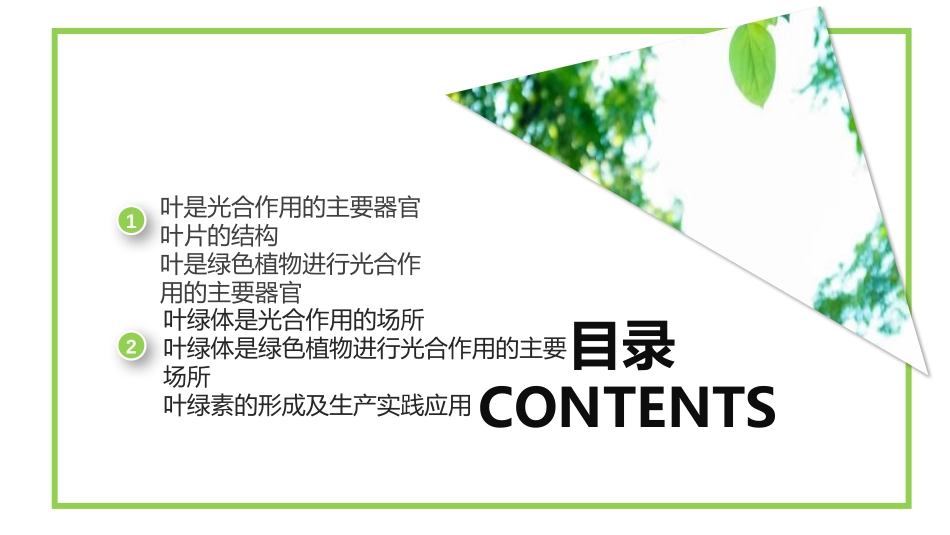 《植物光合作用的场所》PPT免费课件[苏教版七年级生物上册]_第2页
