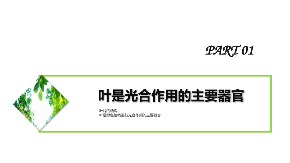 《植物光合作用的场所》PPT免费课件[苏教版七年级生物上册]_第3页