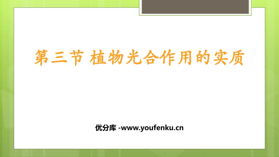 《植物光合作用的实质》PPT教学课件[苏教版七年级生物上册]_第1页