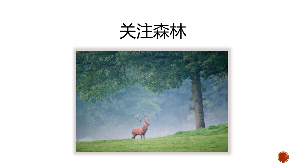 《绿化,我们共同的行动》PPT免费课件[苏教版七年级生物]_第2页