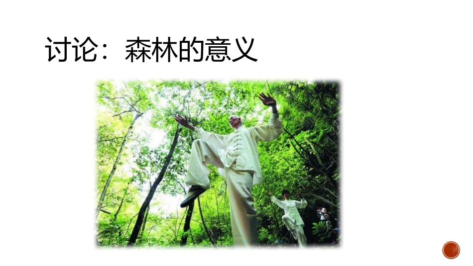 《绿化,我们共同的行动》PPT免费课件[苏教版七年级生物]_第3页