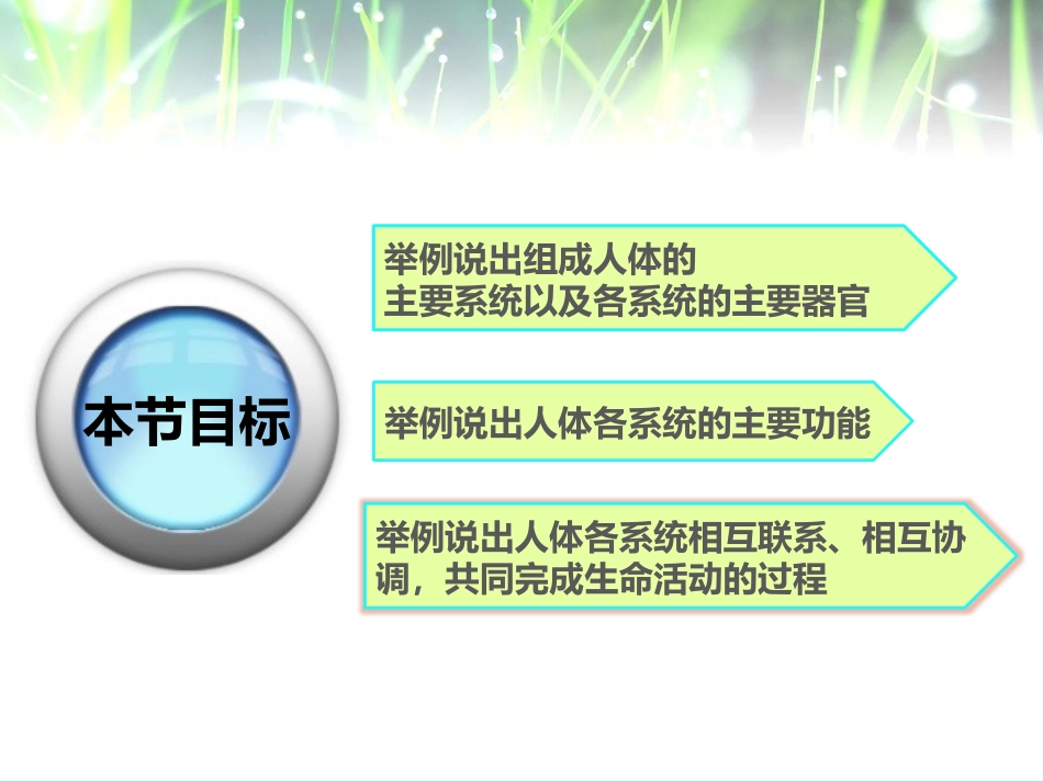 《人体概述》PPT课件[苏教版七年级生物下册]_第3页