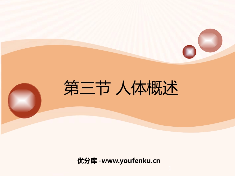 《人体概述》PPT精品课件[苏教版七年级生物下册]_第1页