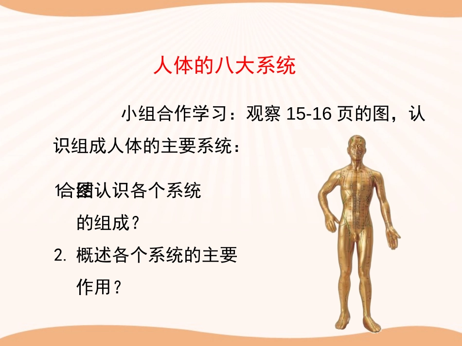 《人体概述》PPT精品课件[苏教版七年级生物下册]_第3页