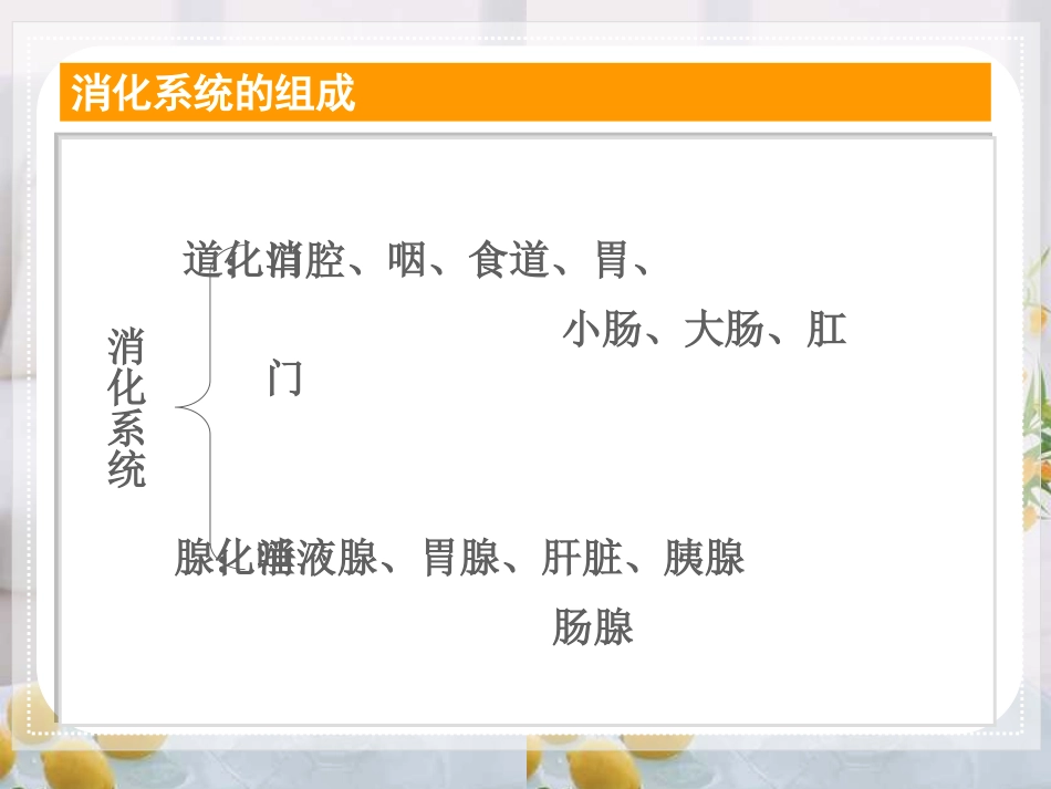 《人体的消化与吸收》PPT课件[苏教版七年级生物下册]_第3页