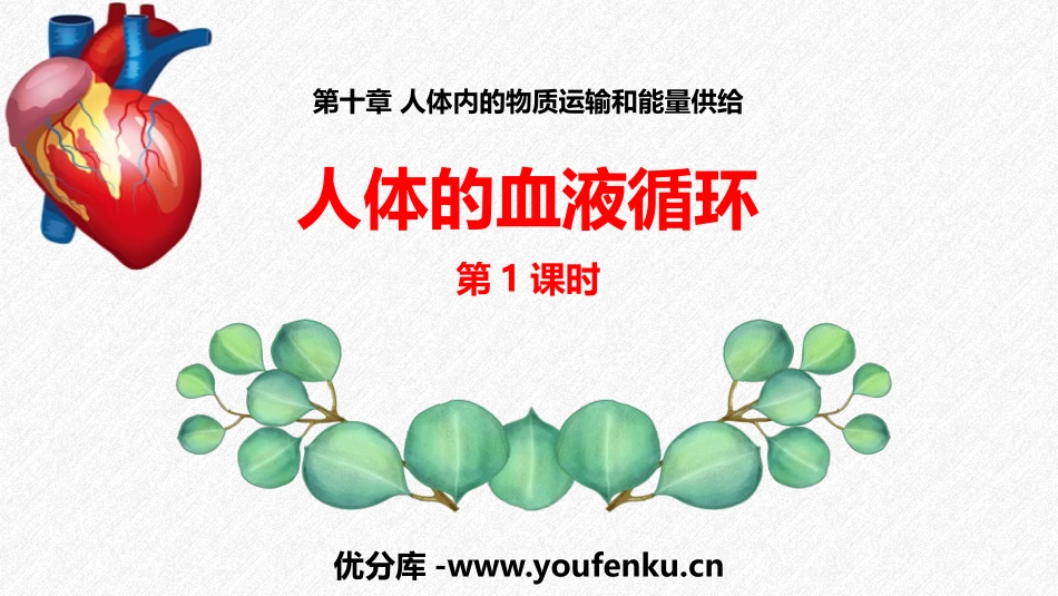 《人体的血液循环》PPT课件(第1课时)[苏教版七年级生物]_第1页