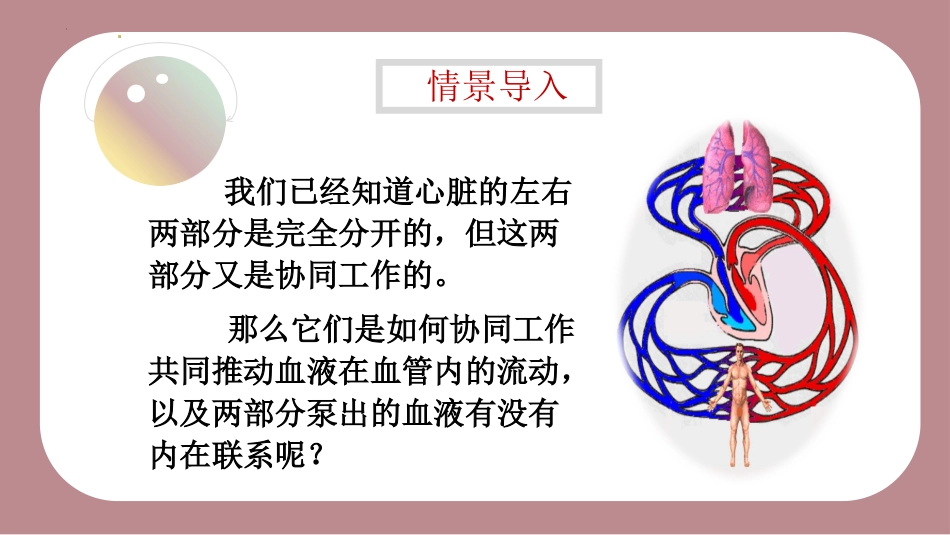 《人体的血液循环》PPT课件(第2课时)[苏教版七年级生物]_第3页