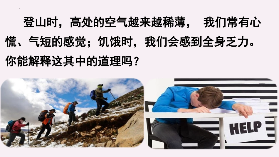 《人体能量的供给》PPT免费课件[苏教版七年级生物下册]_第2页