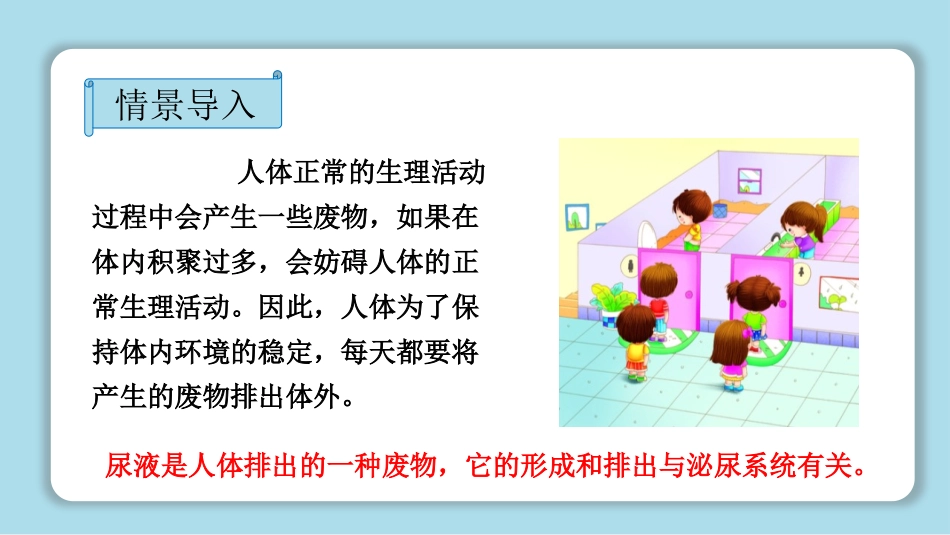 《人体泌尿系统的组成》PPT精品课件[苏教版七年级生物下册]_第3页