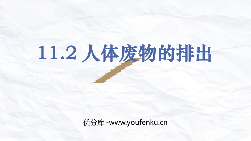 《人体废物的排出》PPT课件[苏教版七年级生物下册]_第1页