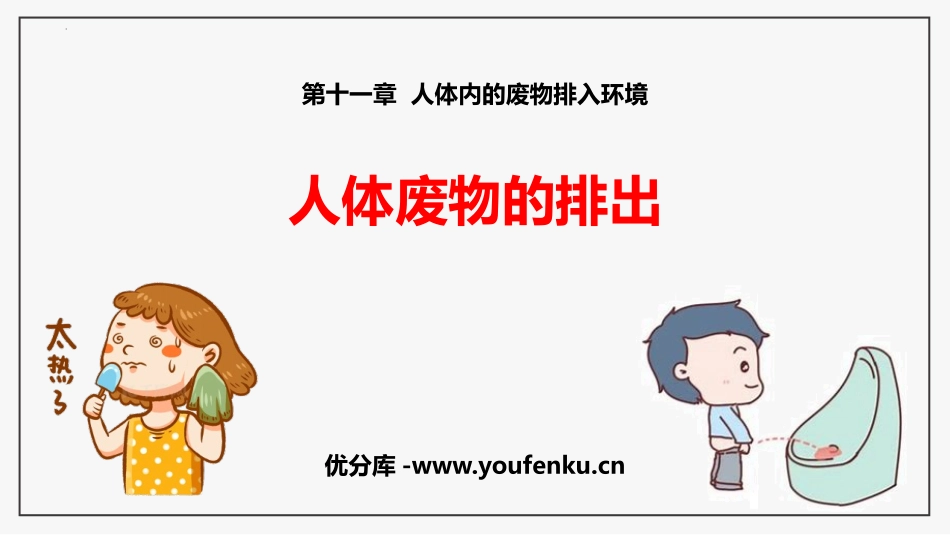 《人体废物的排出》PPT免费课件[苏教版七年级生物下册]_第1页