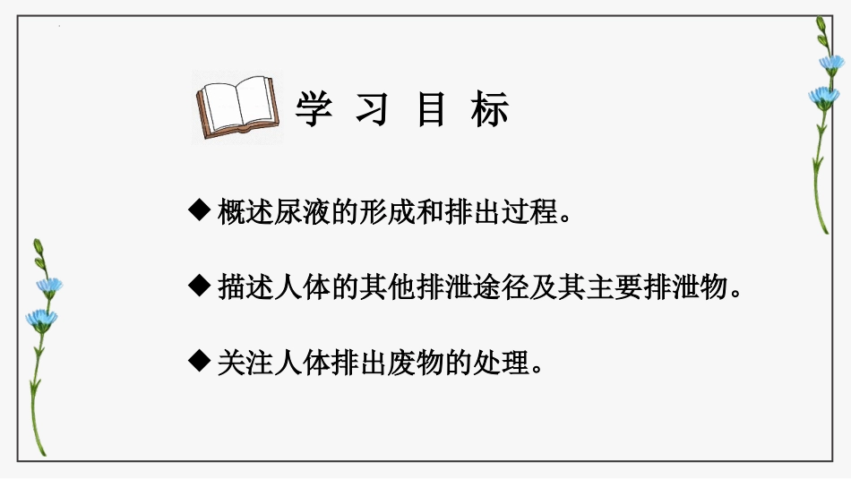 《人体废物的排出》PPT免费课件[苏教版七年级生物下册]_第2页