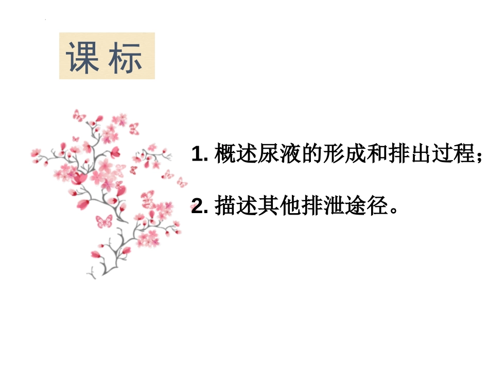 《人体废物的排出》PPT课件[苏教版七年级生物下册]_第2页