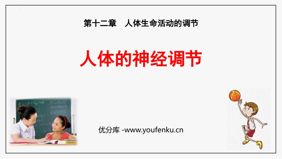 《人体的神经调节》PPT免费课件[苏教版七年级生物下册]_第1页