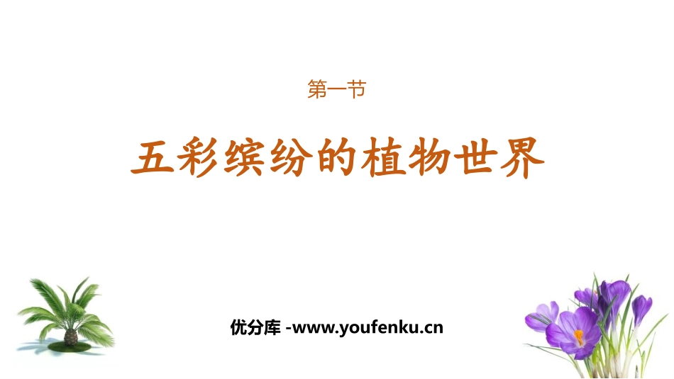 《五彩缤纷的植物世界》PPT课件[苏教版八年级生物上册]_第1页