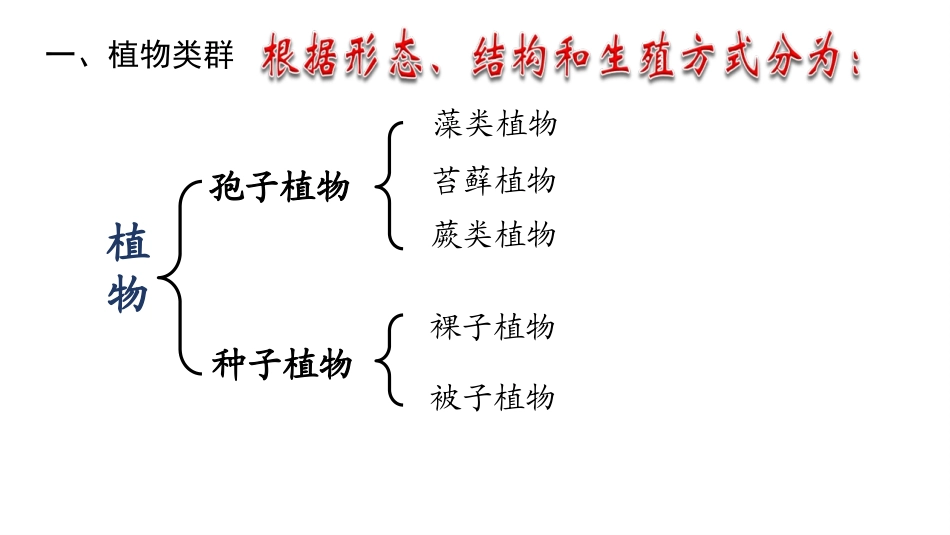 《五彩缤纷的植物世界》PPT课件[苏教版八年级生物上册]_第2页