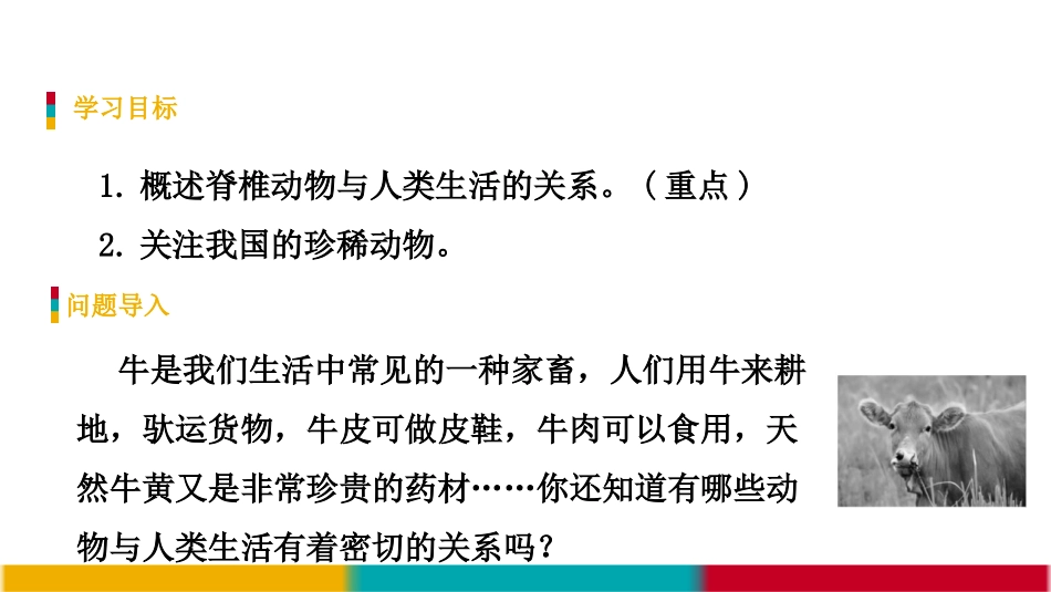《千姿百态的动物世界》PPT教学课件(第3课时)_第2页