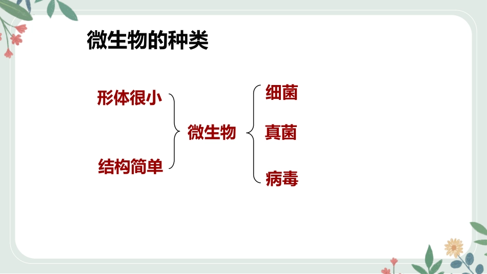 《神奇的微生物》PPT免费课件[苏教版八年级生物上册]_第2页