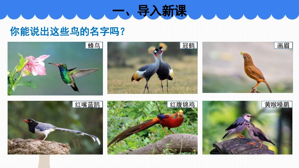 《生物多样性》PPT免费课件[苏教版八年级生物上册]_第2页