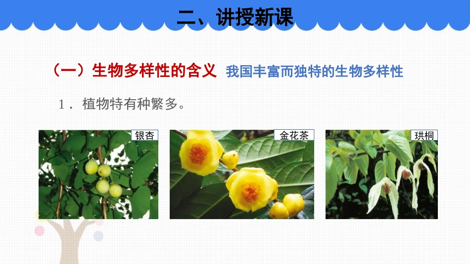 《生物多样性》PPT免费课件[苏教版八年级生物上册]_第3页