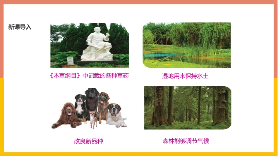 《保护生物多样性的艰巨使命》PPT课件[苏教版八年级生物]_第3页
