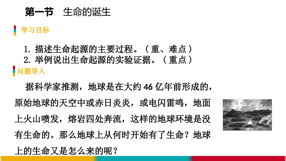 《生命的诞生》PPT免费课件[苏教版八年级生物上册]_第2页
