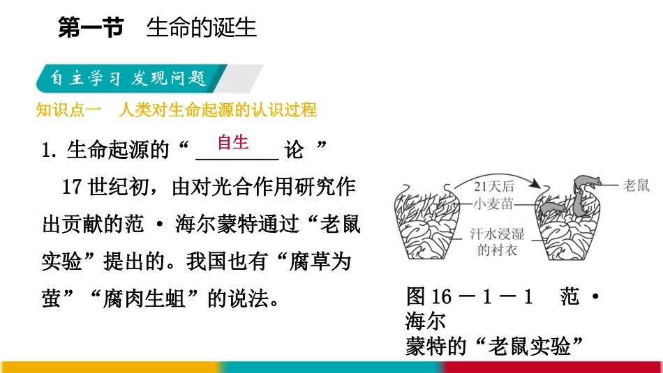 《生命的诞生》PPT免费课件[苏教版八年级生物上册]_第3页