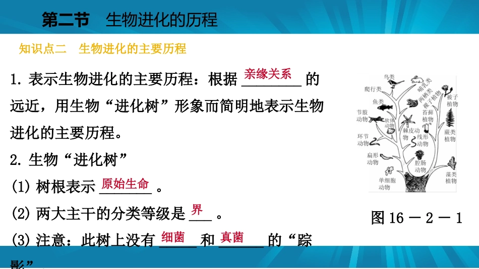 《生物进化的历程》PPT优秀课件[苏教版八年级生物上册]_第3页