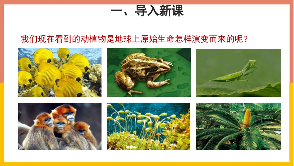 《生物进化的历程》PPT优质课件[苏教版八年级生物上册]_第2页