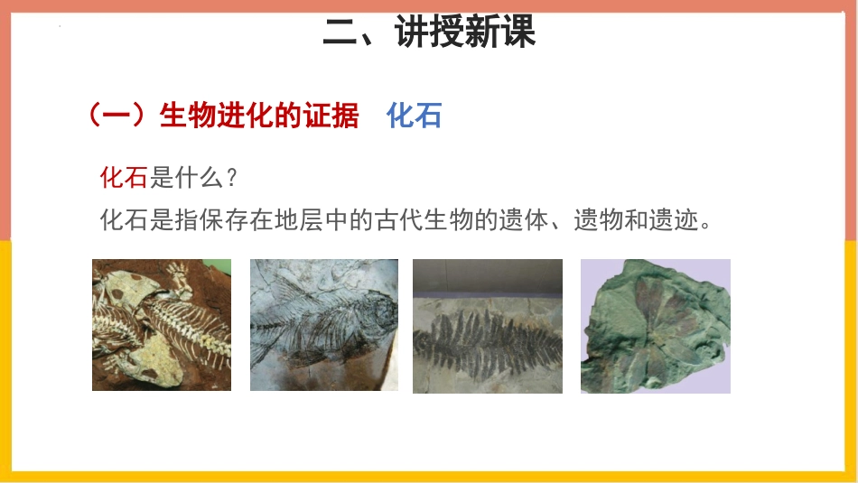 《生物进化的历程》PPT优质课件[苏教版八年级生物上册]_第3页