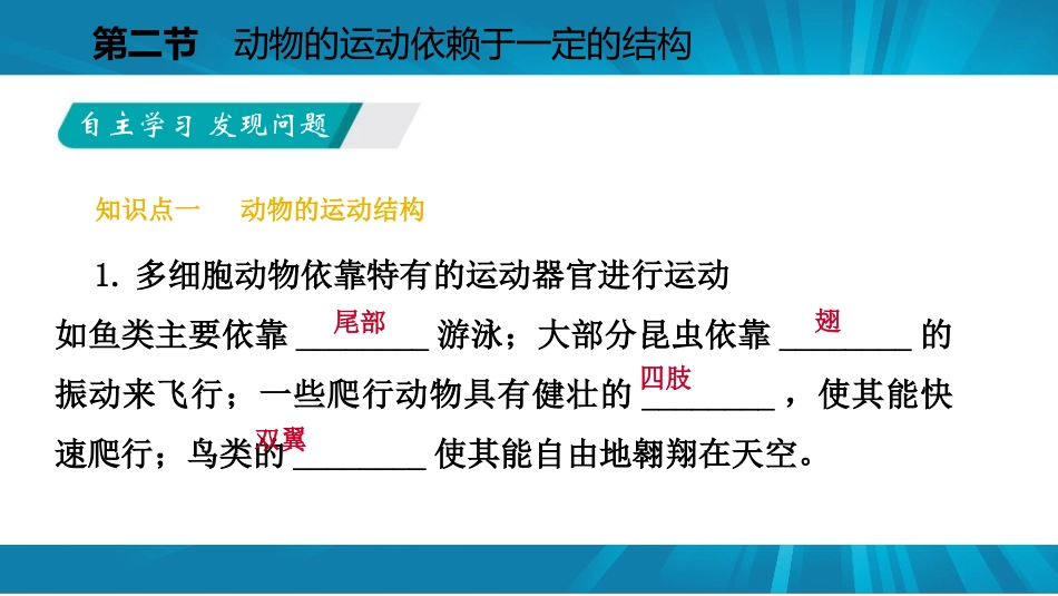 《动物的运动依赖一定的结构》PPT课件[苏教版八年级生物]_第3页