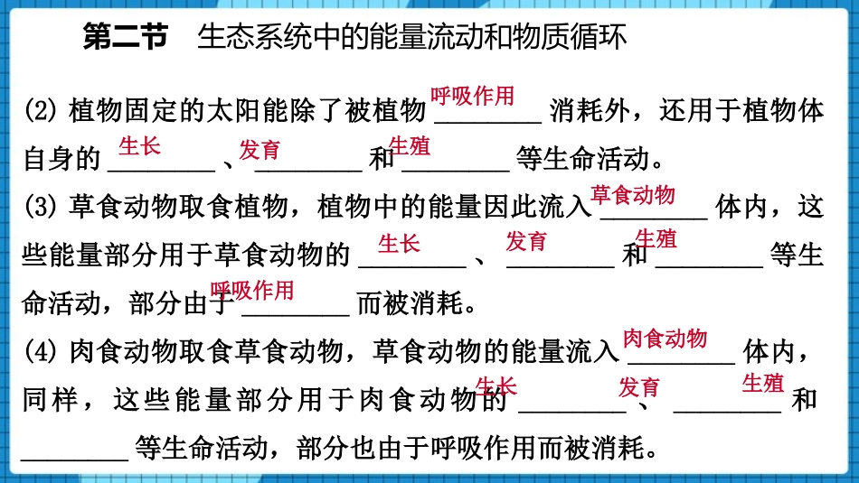 《生态系统中的能量流动和物质循环》PPT课件[苏教版八年级生物]_第3页