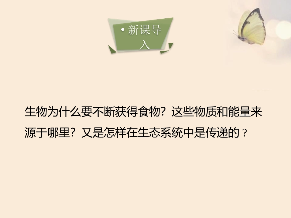 《生态系统中的能量流动和物质循环》PPT教学课件_第2页