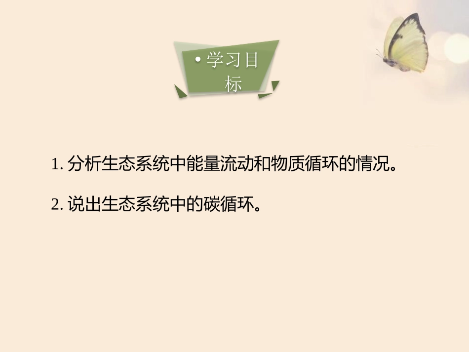《生态系统中的能量流动和物质循环》PPT教学课件_第3页