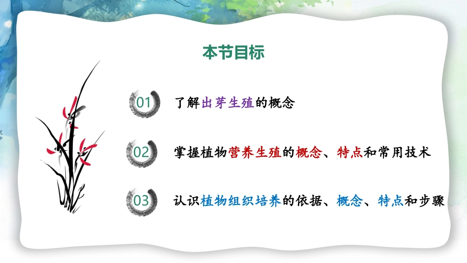《生物的无性生殖》PPT课件[苏教版八年级生物下册]_第3页