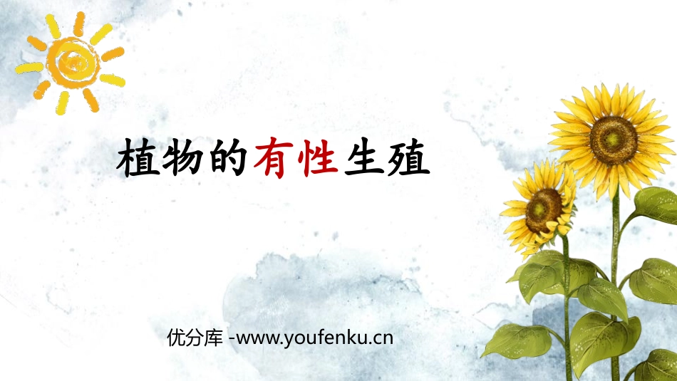 《植物的有性生殖》PPT精品课件[苏教版八年级生物下册]_第1页