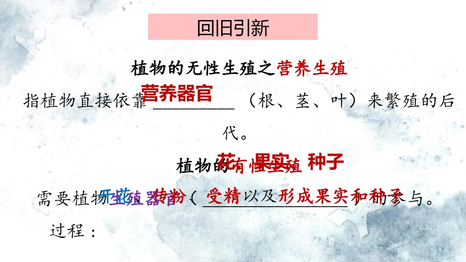 《植物的有性生殖》PPT精品课件[苏教版八年级生物下册]_第2页