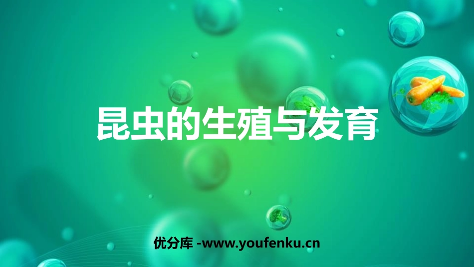 《昆虫的生殖与发育》PPT优秀课件[苏教版八年级生物下册]_第1页