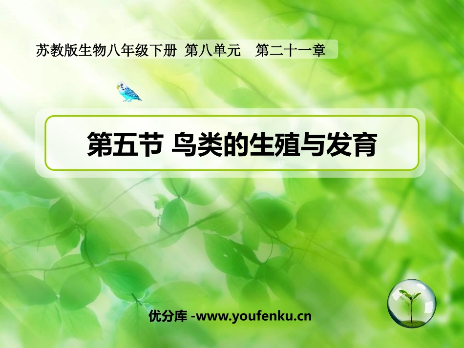 《鸟类的生殖与发育》PPT课件[苏教版八年级生物下册]_第1页