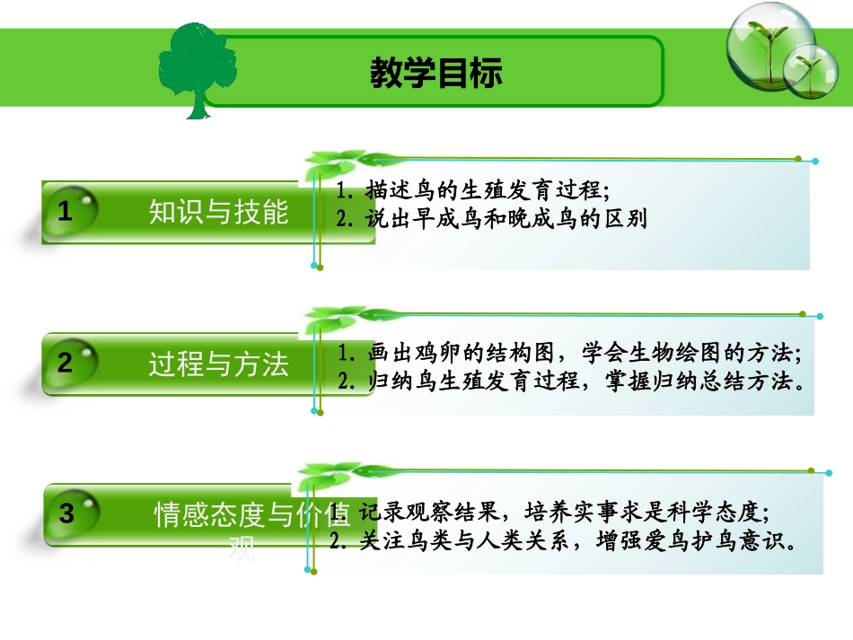 《鸟类的生殖与发育》PPT课件[苏教版八年级生物下册]_第2页