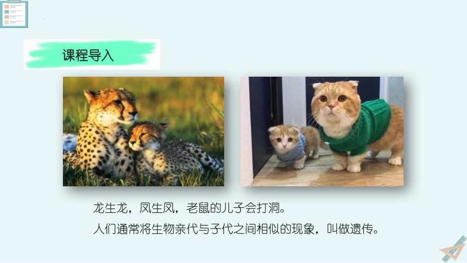 《DNA是主要的遗传物质》PPT课件[苏教版八年级生物下册]_第2页
