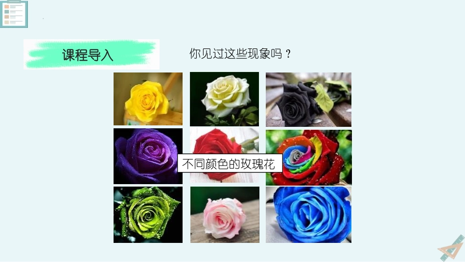 《生物的变异》PPT教学课件[苏教版八年级生物下册]_第2页