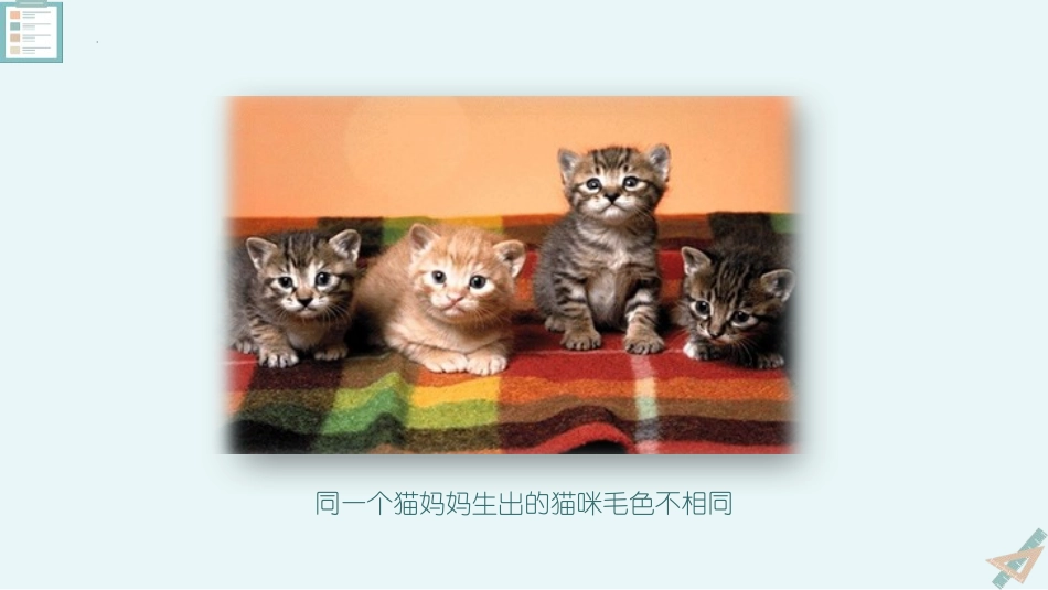 《生物的变异》PPT教学课件[苏教版八年级生物下册]_第3页
