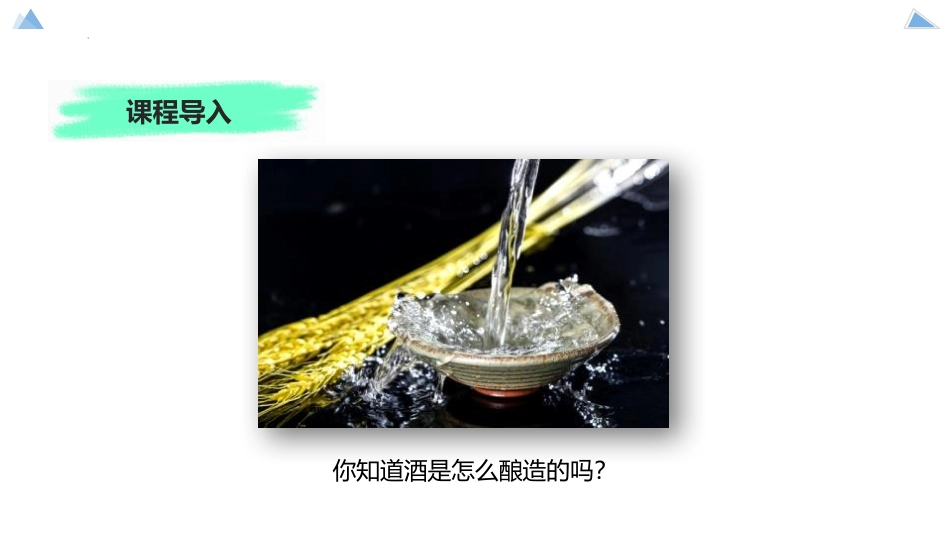 《源远流长的发酵技术》PPT课件[苏教版八年级生物下册]_第2页