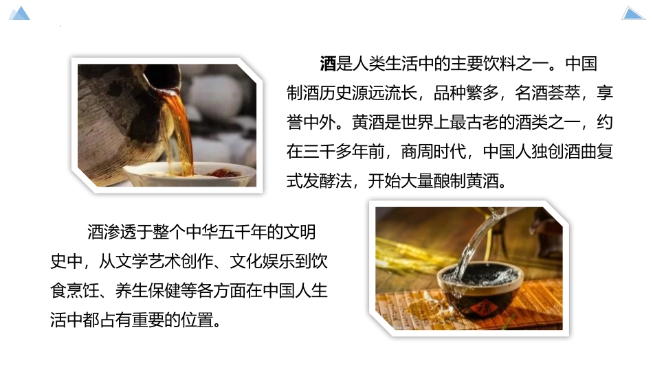 《源远流长的发酵技术》PPT课件[苏教版八年级生物下册]_第3页