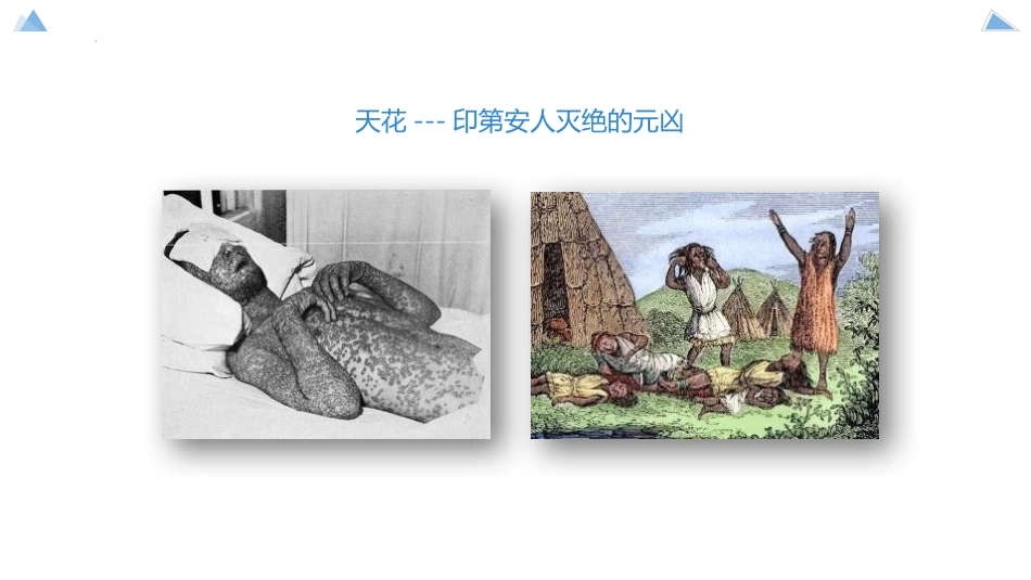 《免疫》PPT课件[苏教版八年级生物下册]_第3页