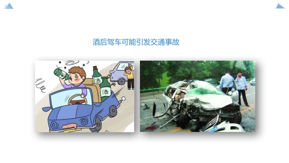 《远离烟酒》PPT教学课件[苏教版八年级生物下册]_第3页