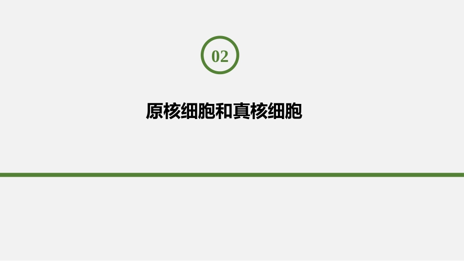 《细胞的多样性和统一性》走近细胞PPT教学课件(第2课时)_第2页