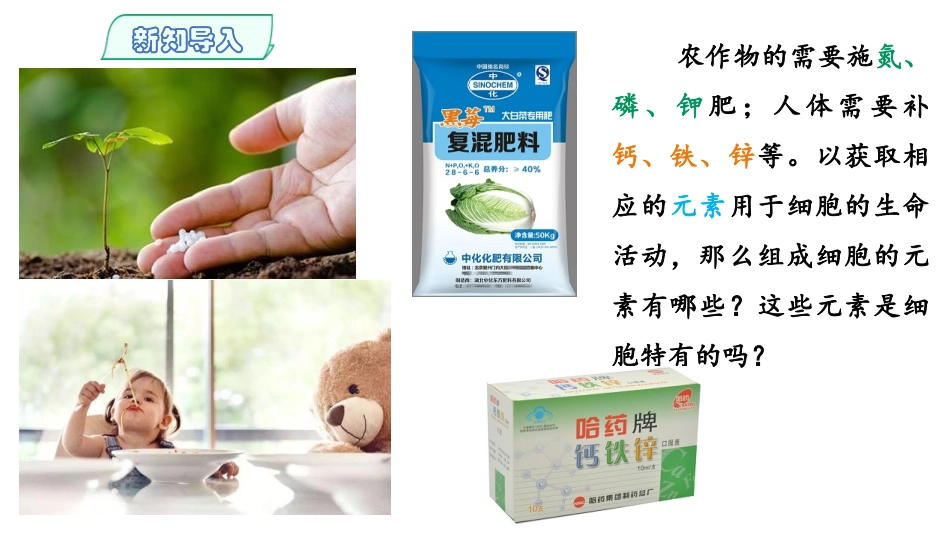 《细胞中的元素和化合物》组成细胞的分子PPT免费课件_第1页